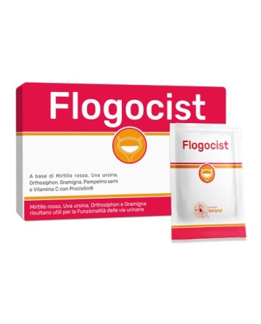 Flogocist 10bust