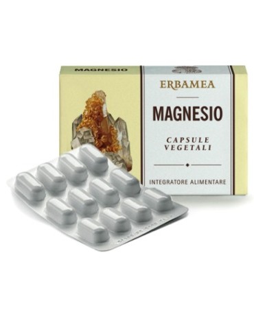 MAGNESIO 24CPS 1200MG