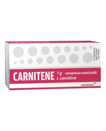 Carnitene*10cpr Mast 1g