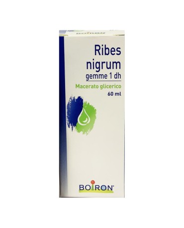 Ribes Nigrum Gemme 60ml Mg