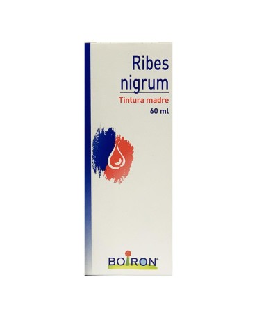Ribes Nigrum 60ml Tm